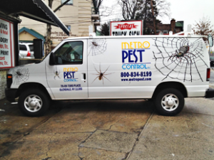pest-control-management-metro-pest-control-glendale-ny-callout2.1