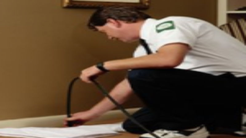 complete-pest-control-services-dandi-pest-control-tulsa-ok ...