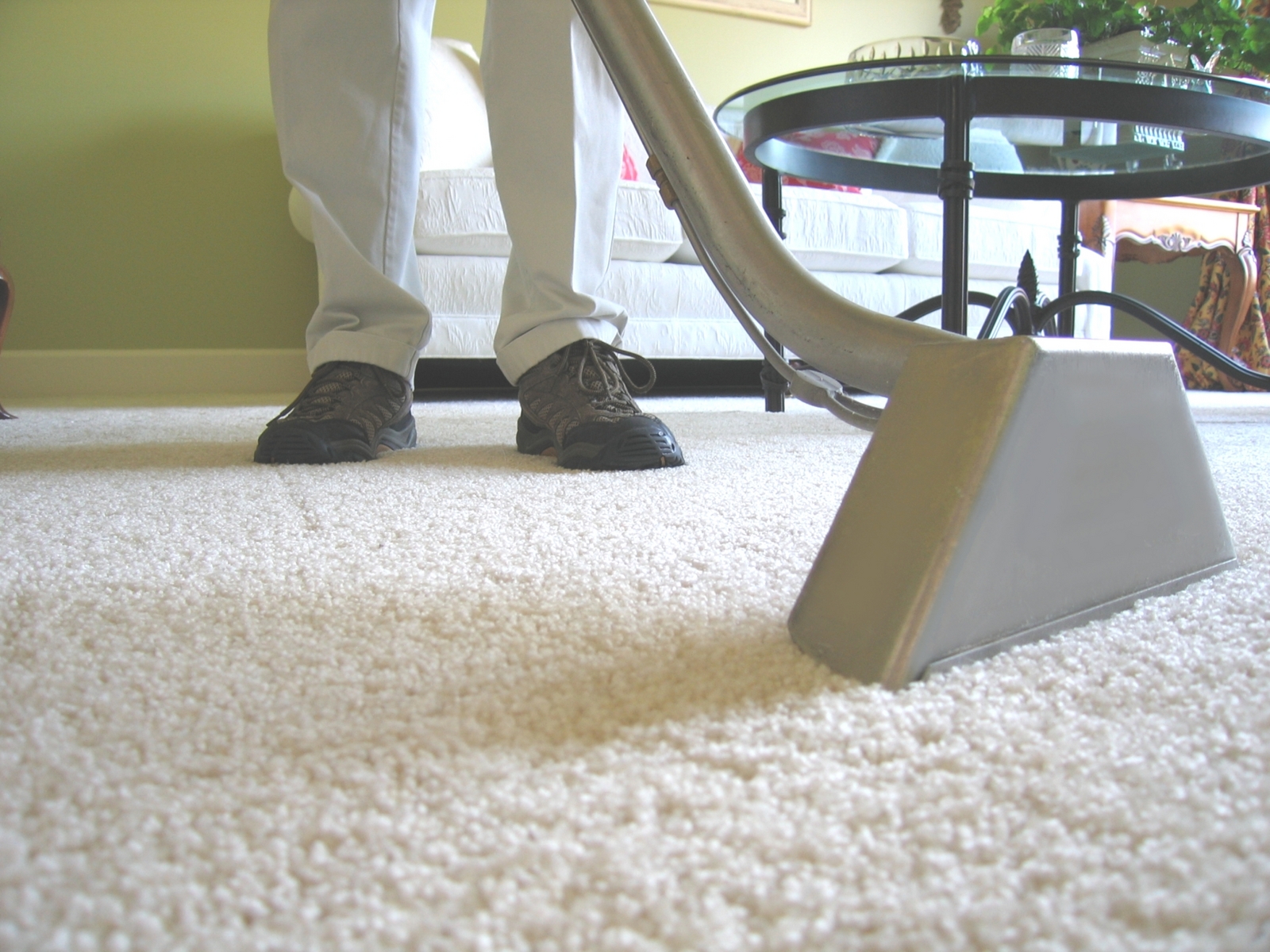 Refresh Your Living Spaces with the Help of a Local Carpet Cleaning Service in Lawrence, KS