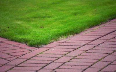 Factors To Consider When Looking For Lawn Maintenance Service in Charlotte NC