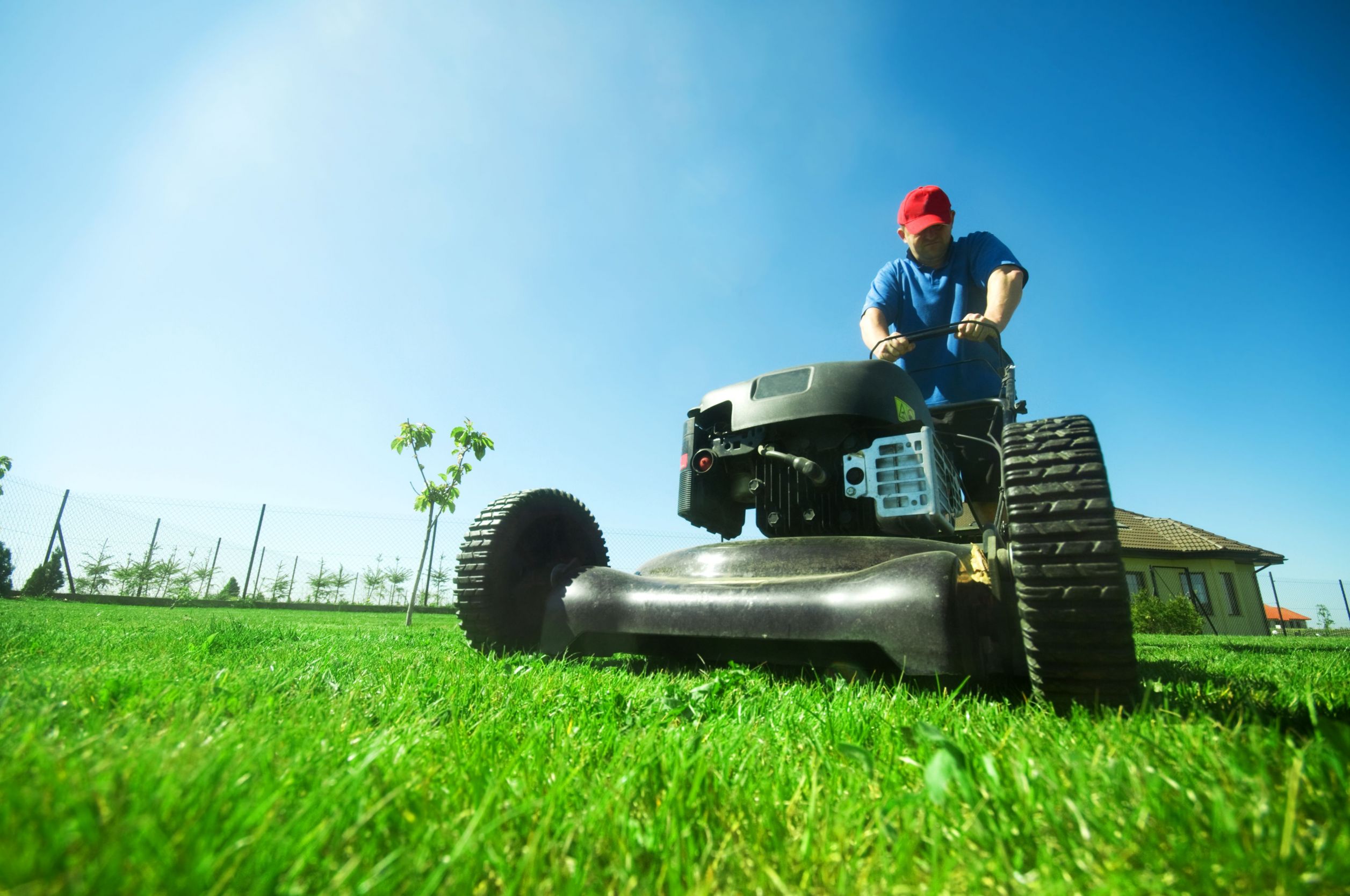 Learn How Commercial Lawn Care Livingston, NJ Boosts Business Curb Appeal Effortlessly