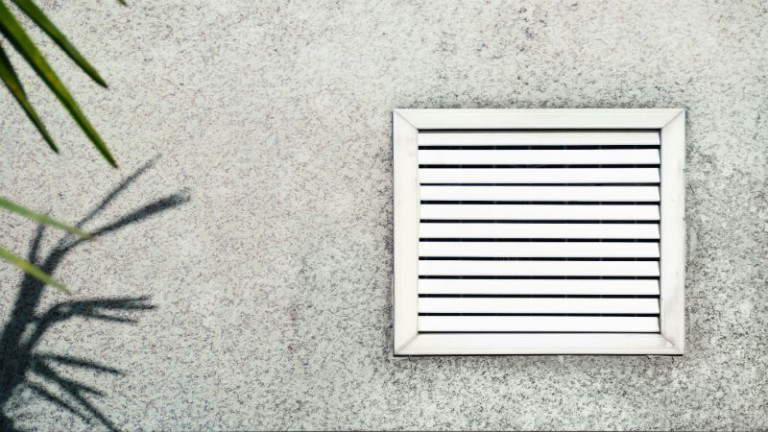 Why West Palm Beach Residents Prefer Wingnuts in a Hurricane