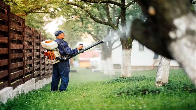 Protect Your Property with Mosquito Control in Louisville, KY