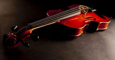 The Best Double Bass Bows in Atlanta, GA Are Found at Reputable Music Stores
