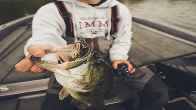 Enjoy the Finest Fishing Tours Near Minnesota