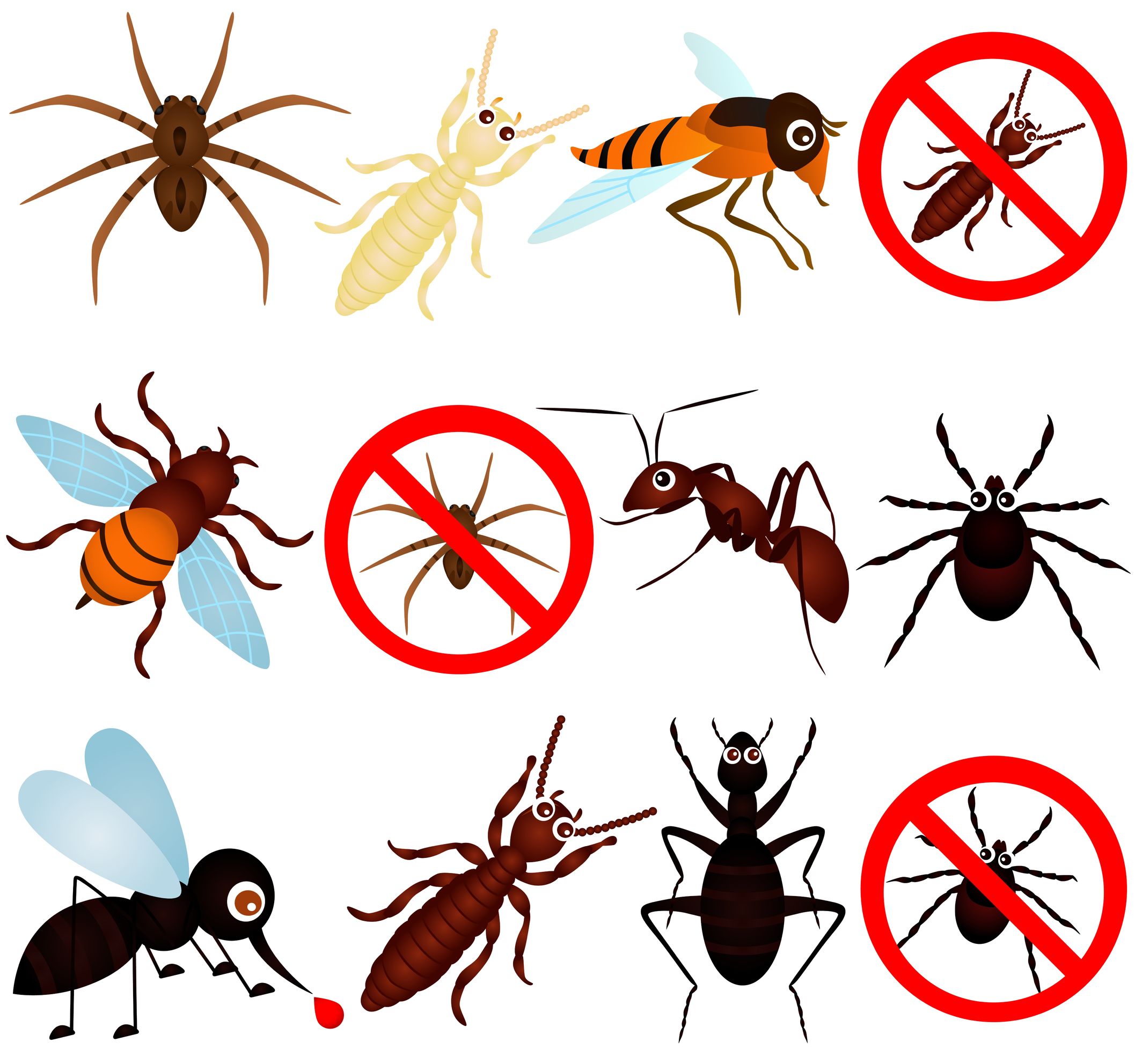 Stop Being Bugged With a Professional Pest Control Company in Rochester, MN