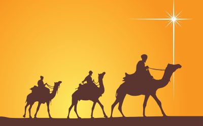 Choosing the Right Morocco Travel Agency