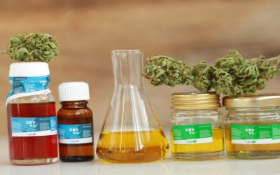 How to Find the Best Dispensary Deals in Rio Rancho