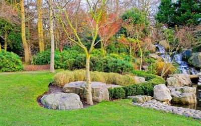 Why You Should Consider Professional Landscape Design in Charlottesville