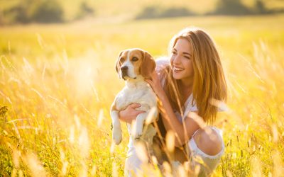 You Can Take Advantage of Good Dog Boarding Prices in The Galleria, Houston, TX