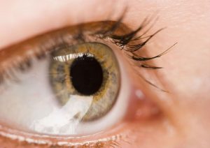 Macular degeneration in Boca Raton: Early detection and management strategies