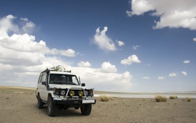 Experience Freedom and Adventure with Big Island Camper Van Rental Options