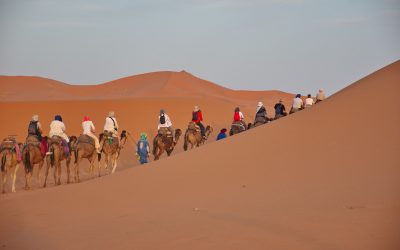 Unravel Mystical Wonders Through Morocco Tours From Casablanca