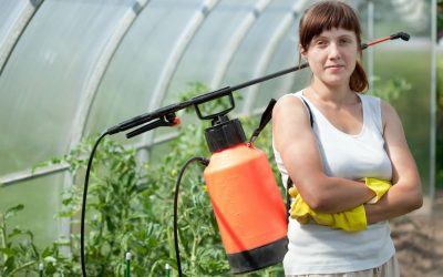 How to Find the Best Exterminator in Peachtree City, GA: Your Complete Guide