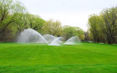 Achieve Healthier Lawns With Affordable Irrigation Sprinkler Repair In Colorado Springs, CO
