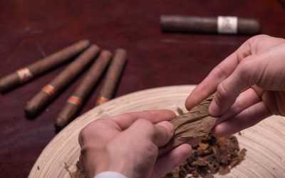 Understanding the Strong Impact of Siberia Chewing Tobacco on the UK Snus Market