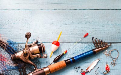 How to Choose the Perfect Fishing Tackle Box for Your Gear