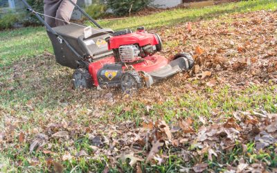 Boost Your Property Value with a Professional Commercial Lawn Care Company