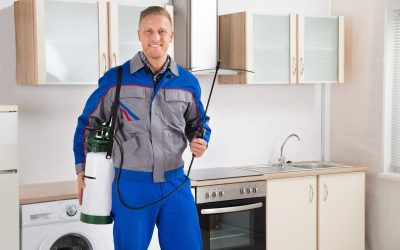 Keep Your Family Safe With Pest Control Services by a Local Exterminator NJ Experts Recommend