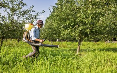 Managing weeds easily with herbicides for pastures to boost your livestock production