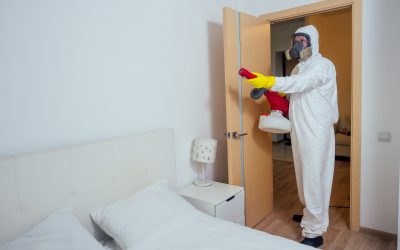 Safeguard Your Home With Pest Inspection in Peachtree City, GA Solutions Against Hidden Threats