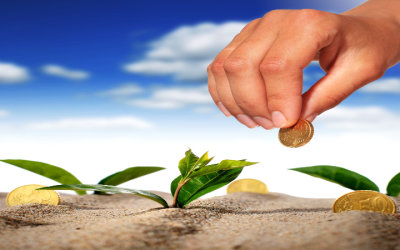 How a Self Directed Individual Retirement Account Empowers Americans to Diversify Wealth?