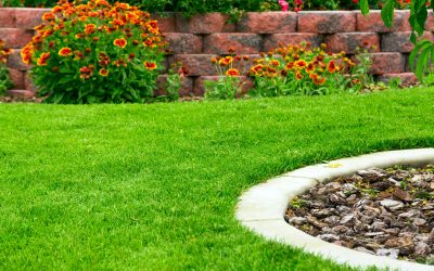 Enhance Your Property Value by Partnering With a Commercial Landscaping Contractor In New Jersey