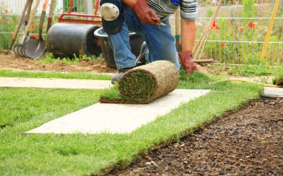 Unlock a Lush Landscape by Choosing Sod Renovation in Winter Garden, FL for Your Property