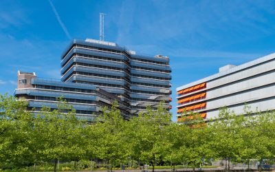 Make the Move Easy With Luxury Apartments For Lease Charlotte NC and Pet Friendly Options