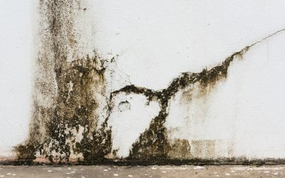 Prevent Costly Home Issues with Water Damage Repair Tacoma WA Homeowners Can Trust