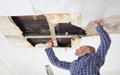 What to Expect from Professional Radon Testing Dublin, OH Services