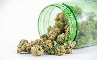 Transform Everyday Routines Using THCA Snow Caps for Wellness and Relaxation
