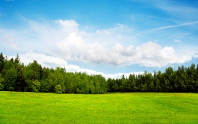 Building Your Dream Home Starts With Affordable Land For Sale California Has Available