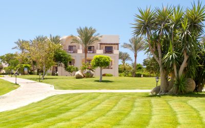 Make entertaining effortless through backyard design in Temecula, CA that impresses guests