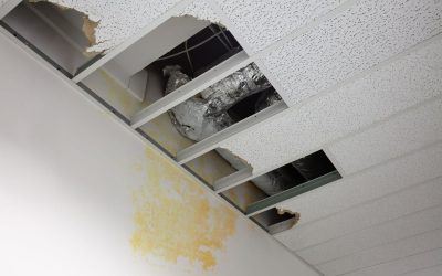 Fast Solutions for Emergency Water Damage Cleanup in Naperville, IL, Homeowners Can Trust
