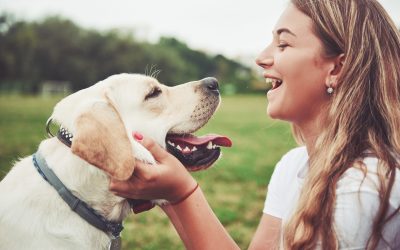 How Multi-Dog Households Change the Frequency of Pet Waste Removal
