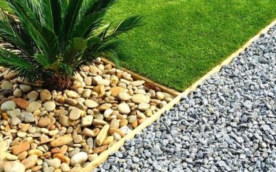 Front Yard Landscape Installation Ideas for Peoria Homes Looking for a Complete Transformation