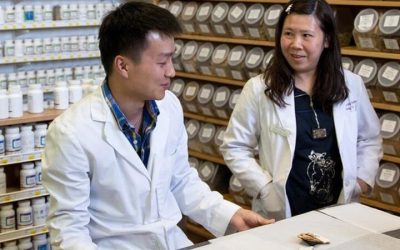 Master holistic healing skills in acupuncture classes designed for aspiring practitioners across the USA